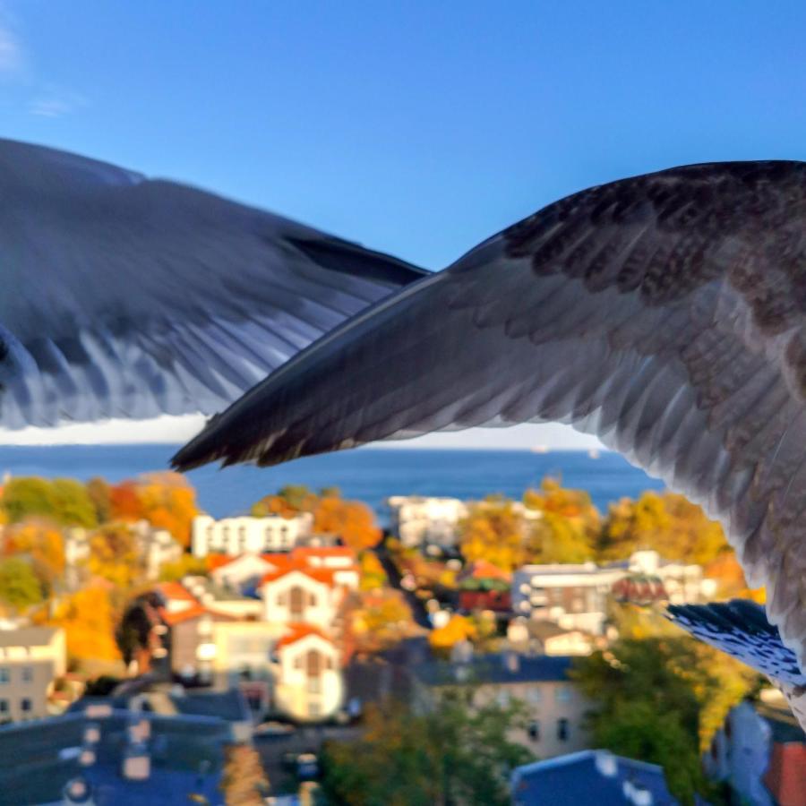 Pokoje Przy Plazy Z Widokiem Na Morze Sopoty Exteriér fotografie