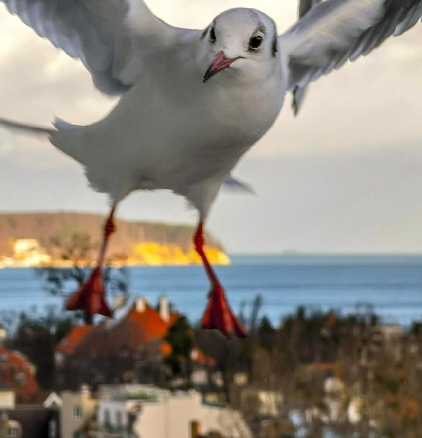 Pokoje Przy Plazy Z Widokiem Na Morze Sopoty Exteriér fotografie