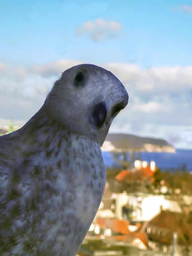 Pokoje Przy Plazy Z Widokiem Na Morze Sopoty Exteriér fotografie
