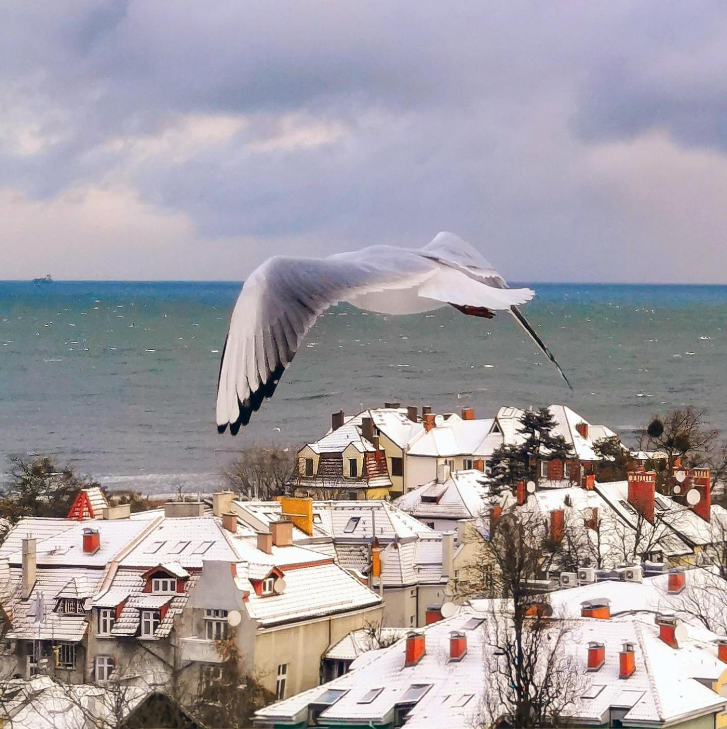 Pokoje Przy Plazy Z Widokiem Na Morze Sopoty Exteriér fotografie