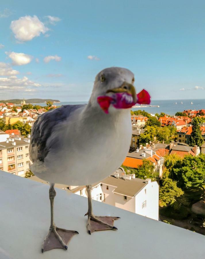Pokoje Przy Plazy Z Widokiem Na Morze Sopoty Exteriér fotografie